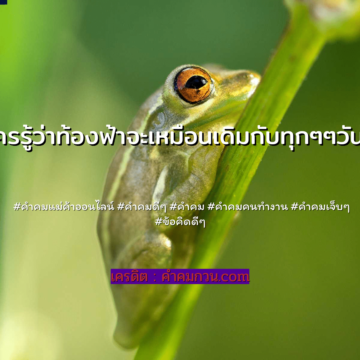 คำคมดีๆ