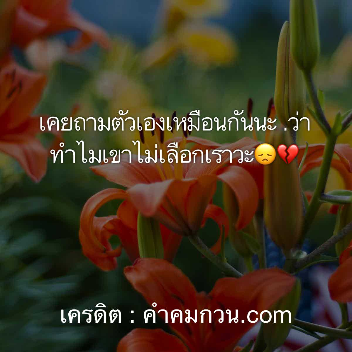 คำคมอกหัก