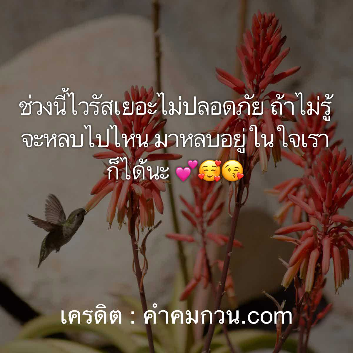 คําคมโดนๆ