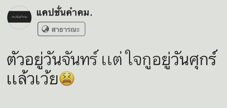 คำคมคนโสด