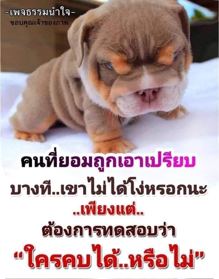 คำคมเสี่ยว