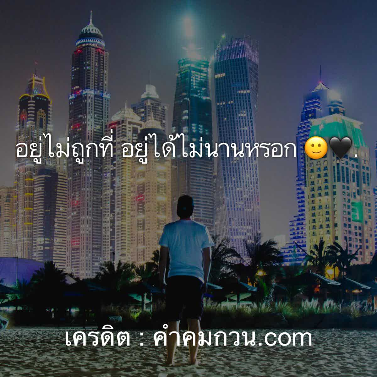 คําคมในวงเหล้า