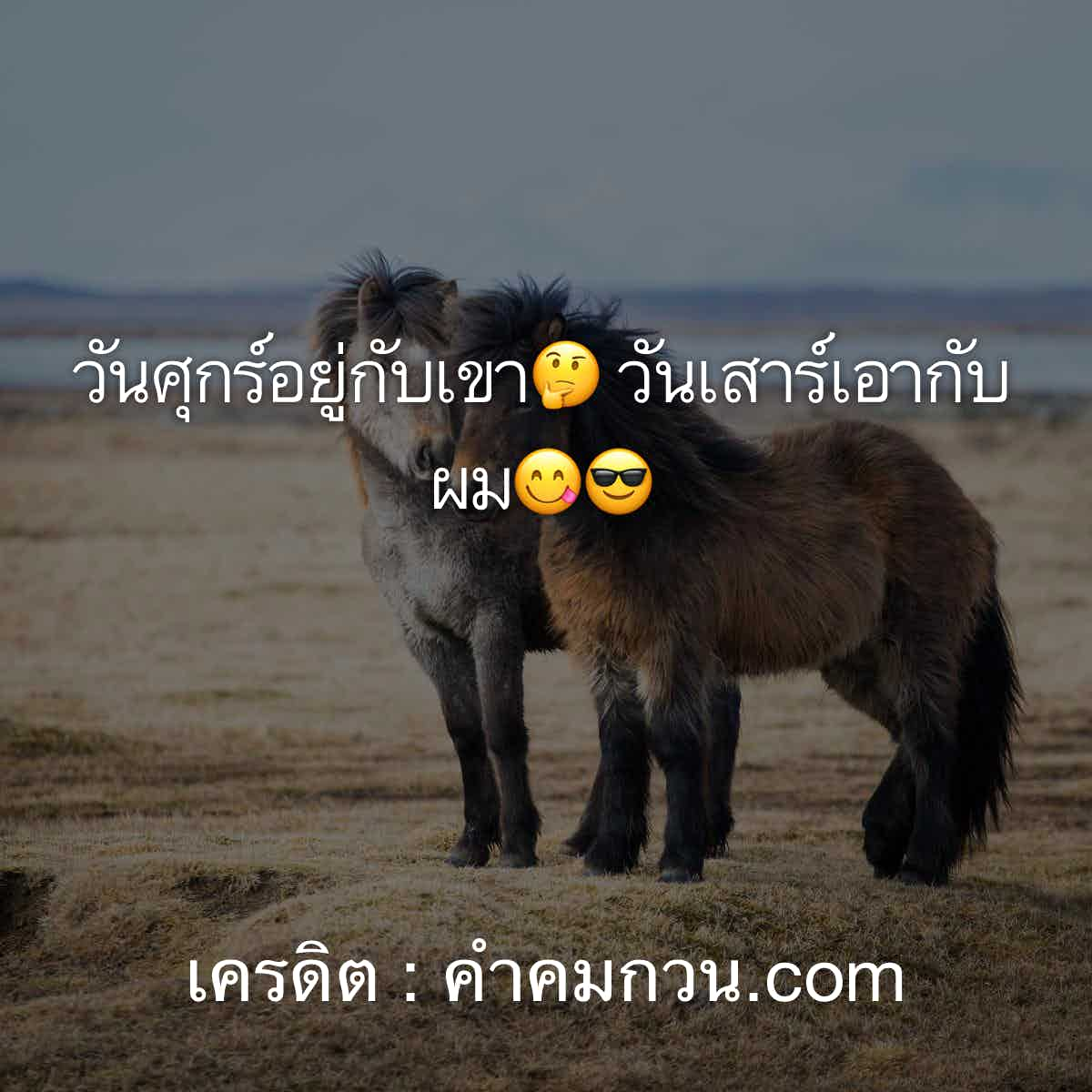 คําคมเด็ดๆ