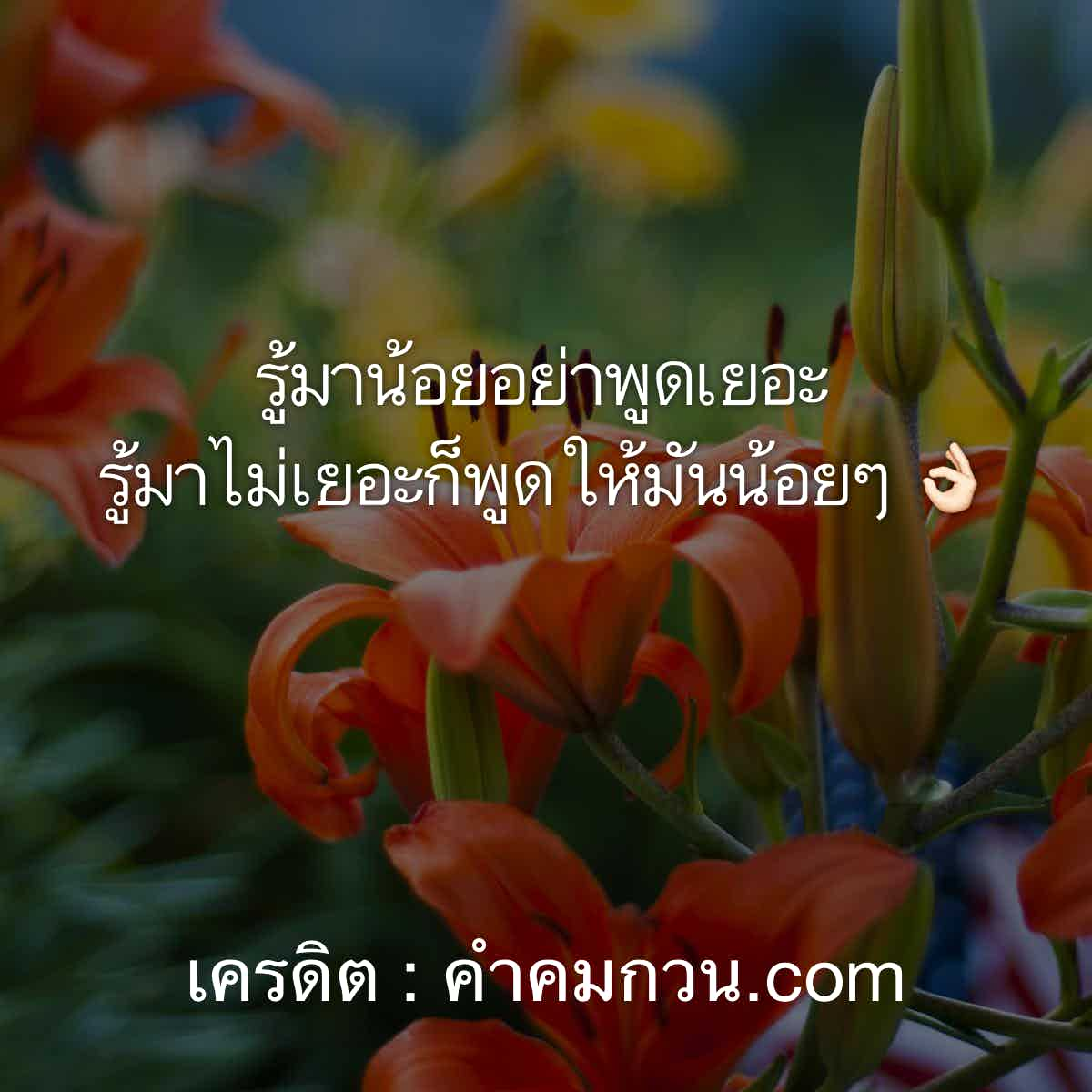 คําคมกวนๆ