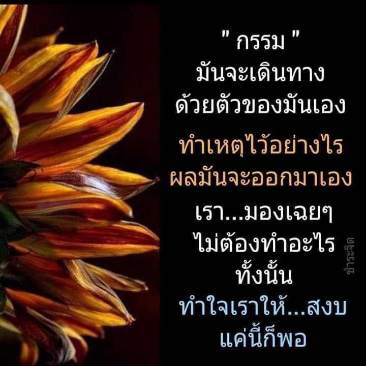 คําคมชีวิต