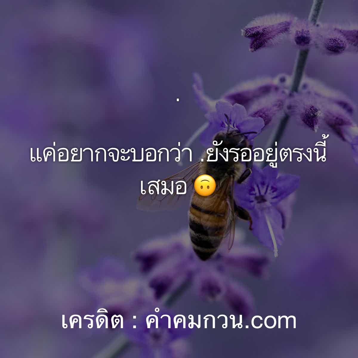 คําคมชีวิต