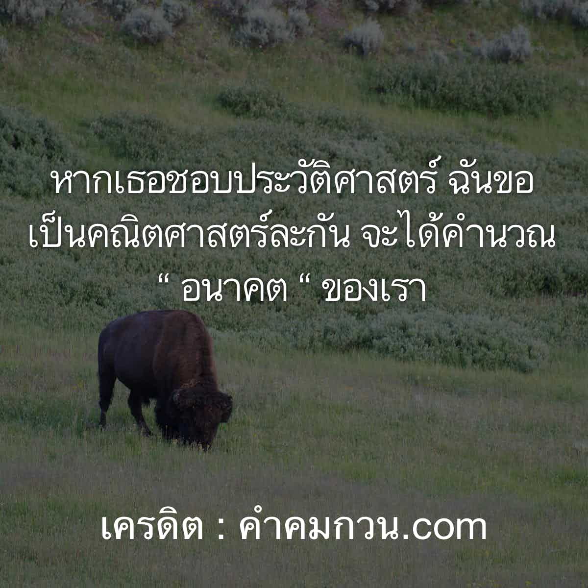 คำคมคิดถึง