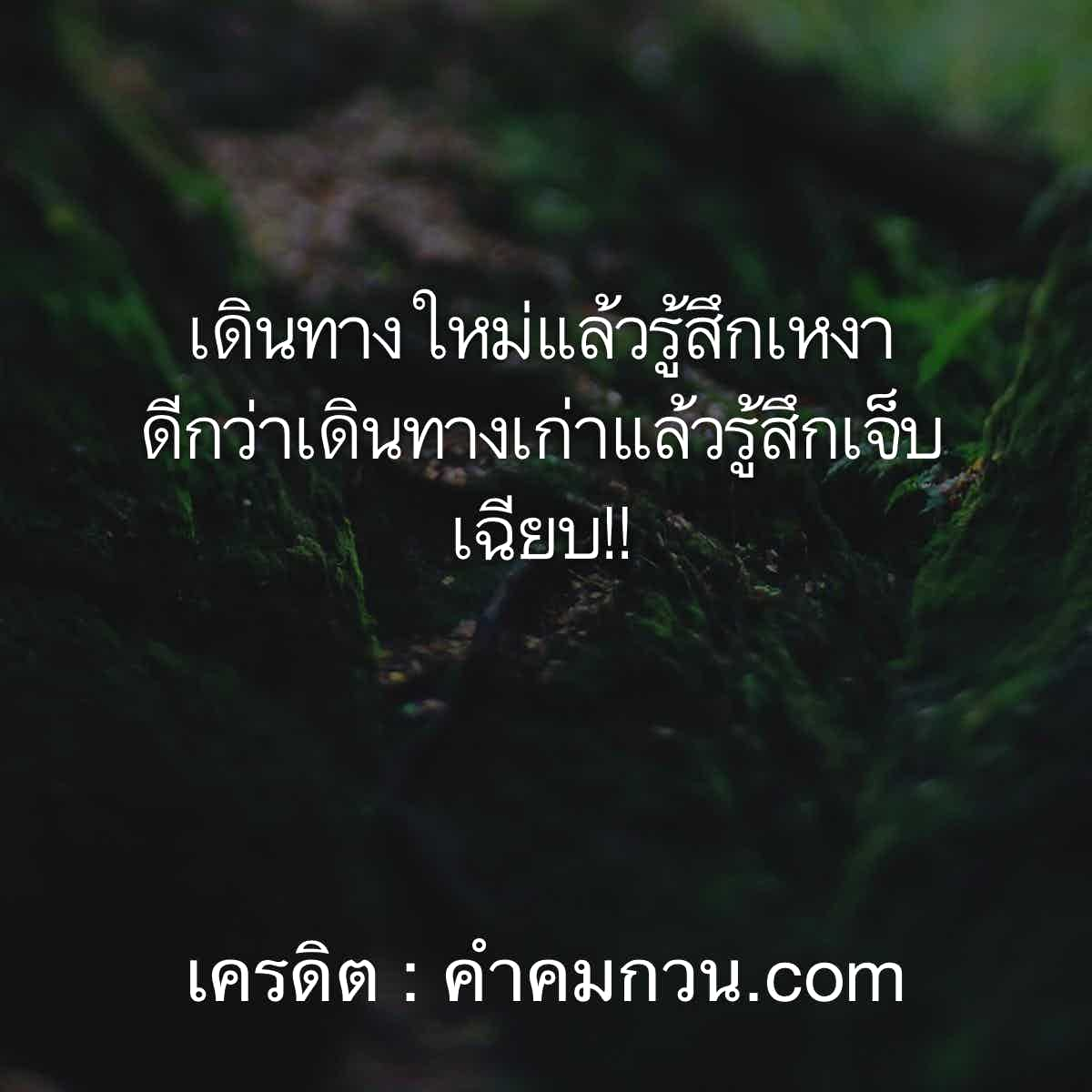 คําคมความรู้สึก