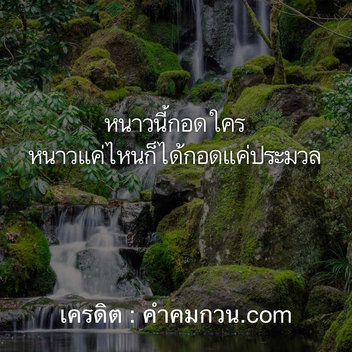 นิติศาสตร์