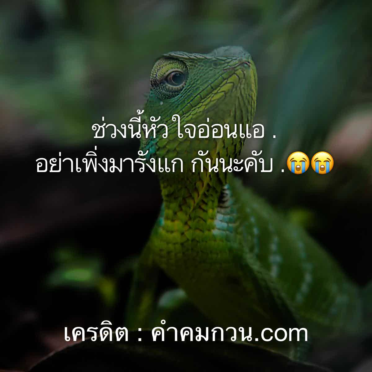 คำคมภาษาจีน