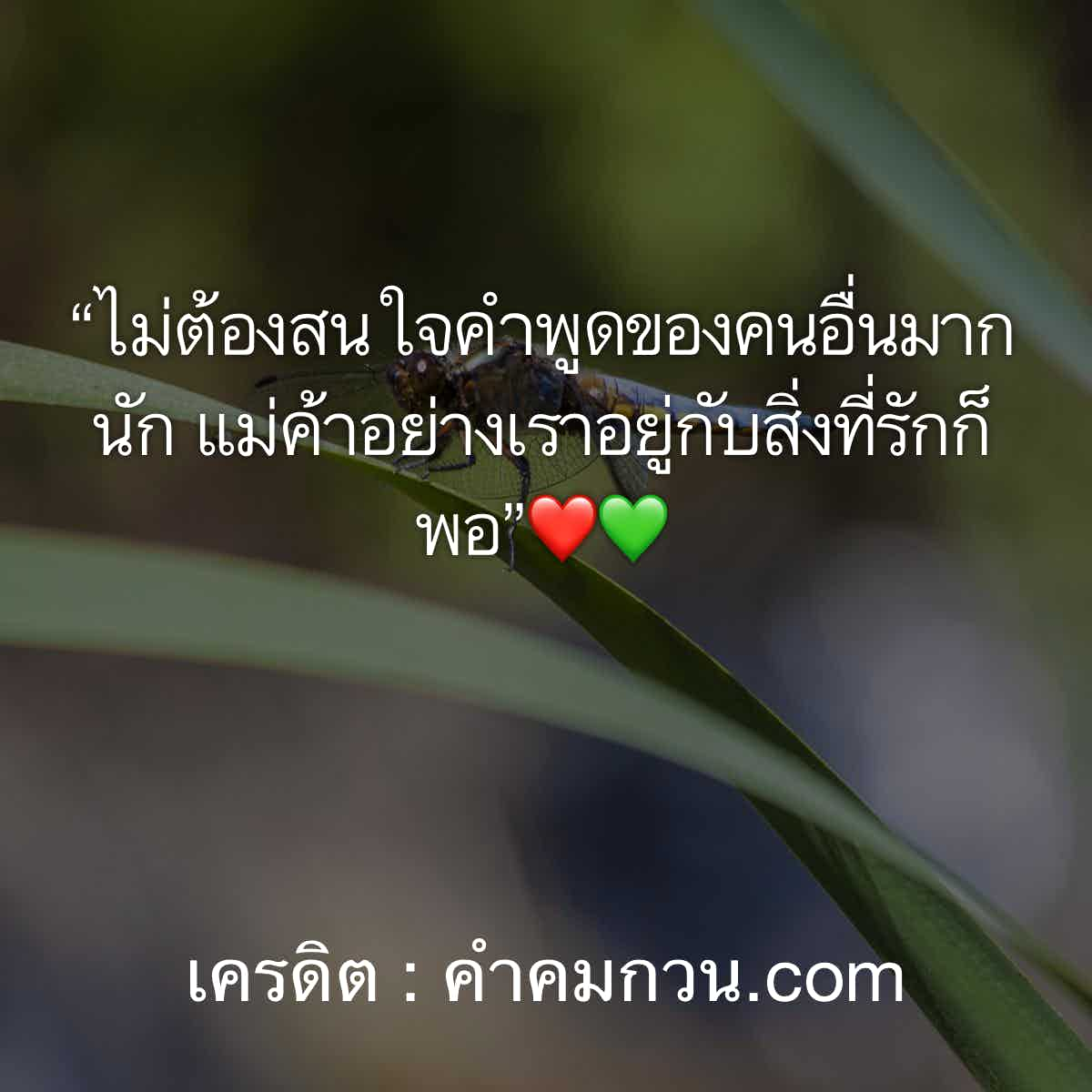 คําคมแม่ค้าออนไลน์