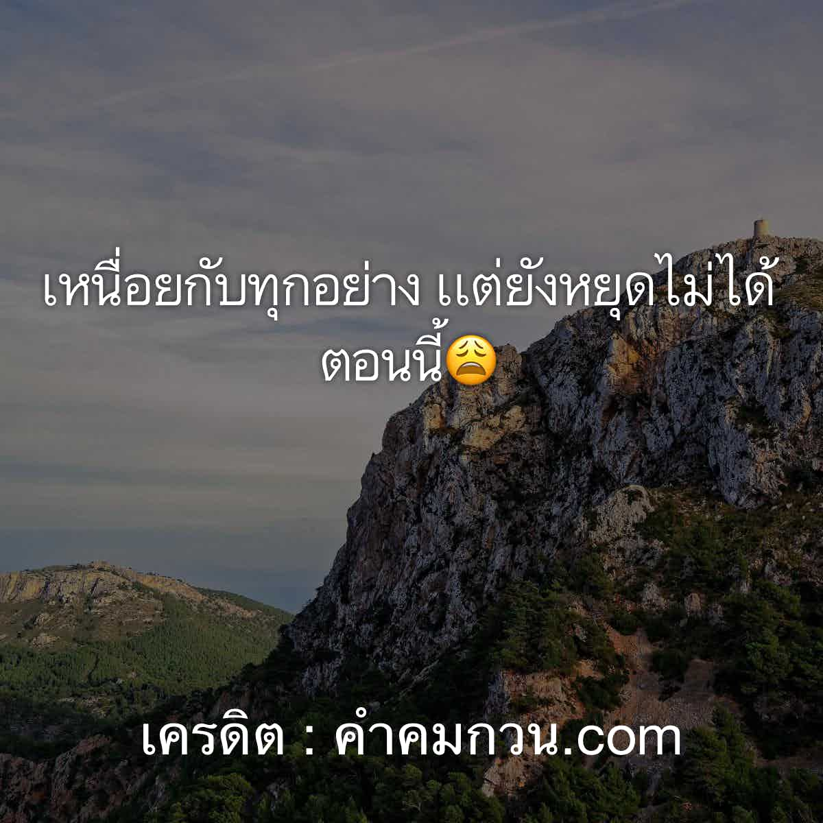 คําคมคนโสด