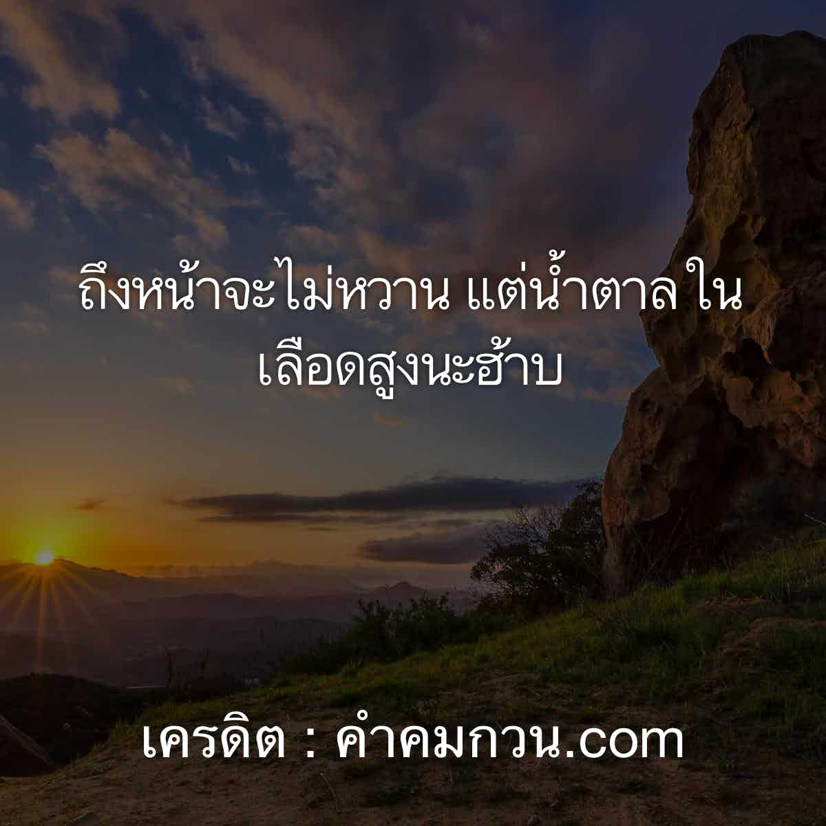 คําคมในวงเหล้า